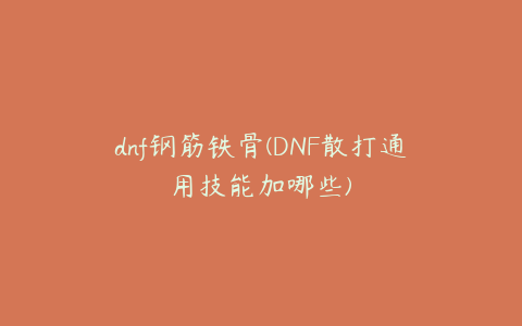 dnf钢筋铁骨(DNF散打通用技能加哪些)