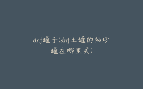 dnf罐子(dnf土罐的袖珍罐在哪里买)