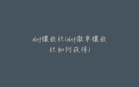 dnf镶嵌栏(dnf徽章镶嵌栏如何获得)