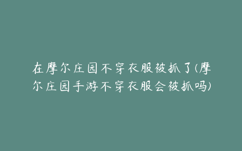 在摩尔庄园不穿衣服被抓了(摩尔庄园手游不穿衣服会被抓吗)