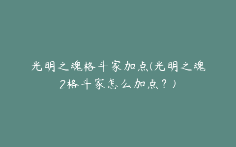 光明之魂格斗家加点(光明之魂2格斗家怎么加点？)