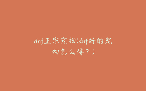 dnf正宗宠物(dnf好的宠物怎么得？)