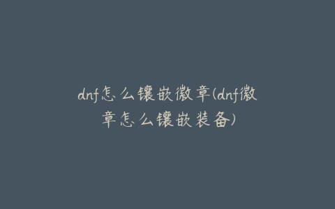 dnf怎么镶嵌徽章(dnf徽章怎么镶嵌装备)